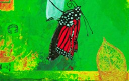 Nectar of Life: Butterfly